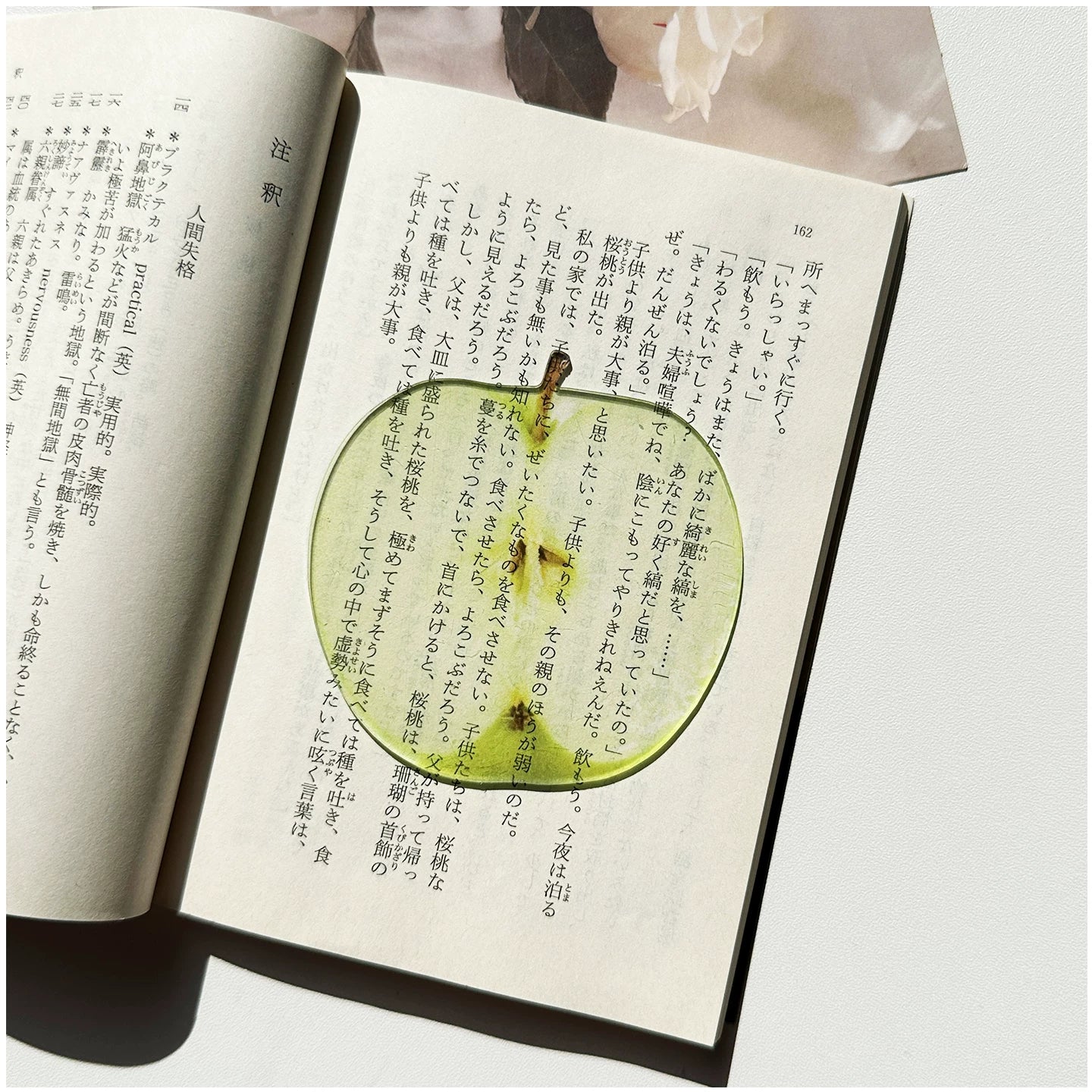 Acrylic Fruit Illustration Bookmark - Modomu