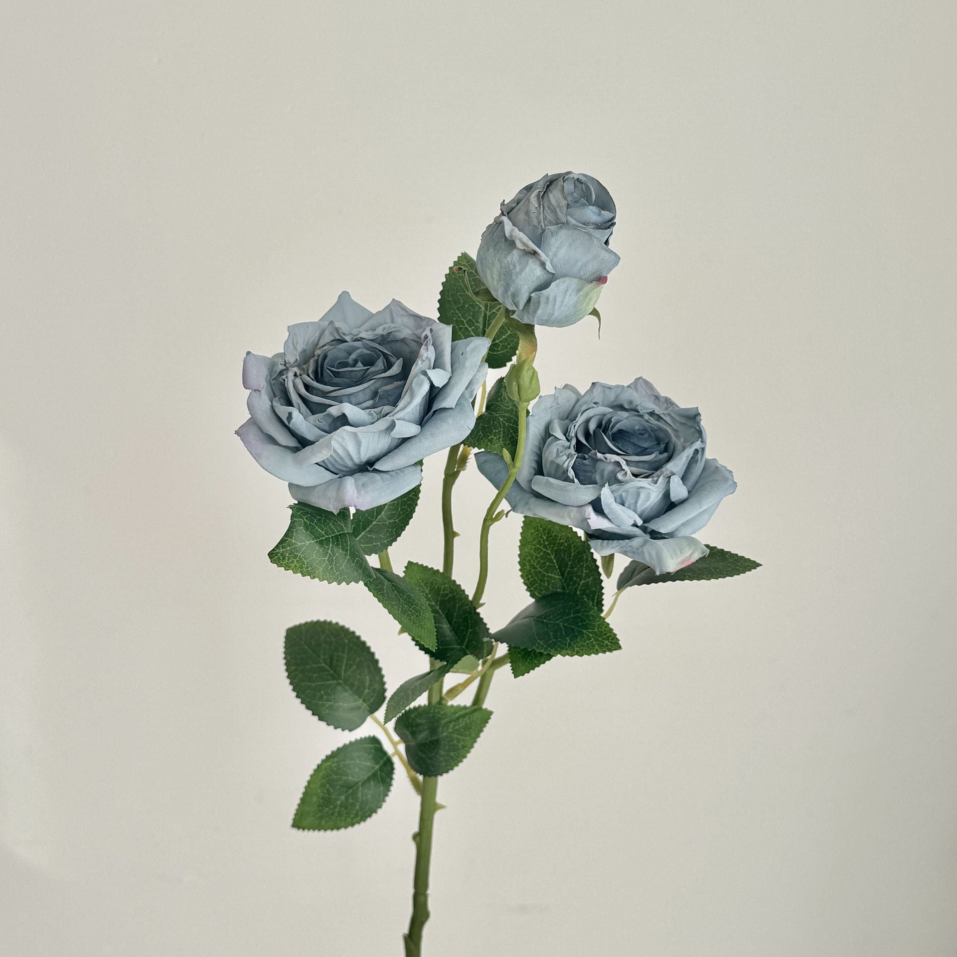 Retro Burnt Edge Rose Bouquet - Modomu