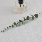 Soft Eucalyptus Faux Stem - Modomu