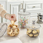 Bear Sealed Storage Jar - Modomu