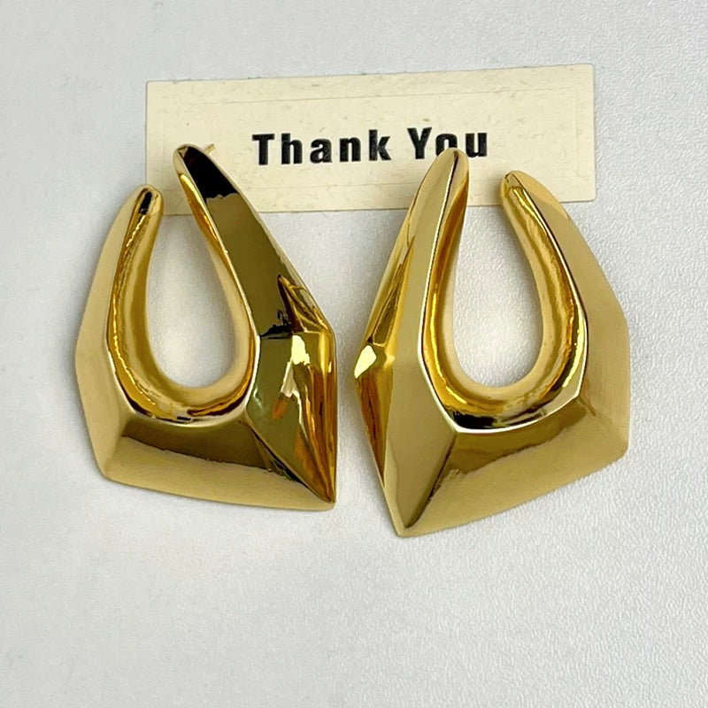 Irregular Metal Line Earrings