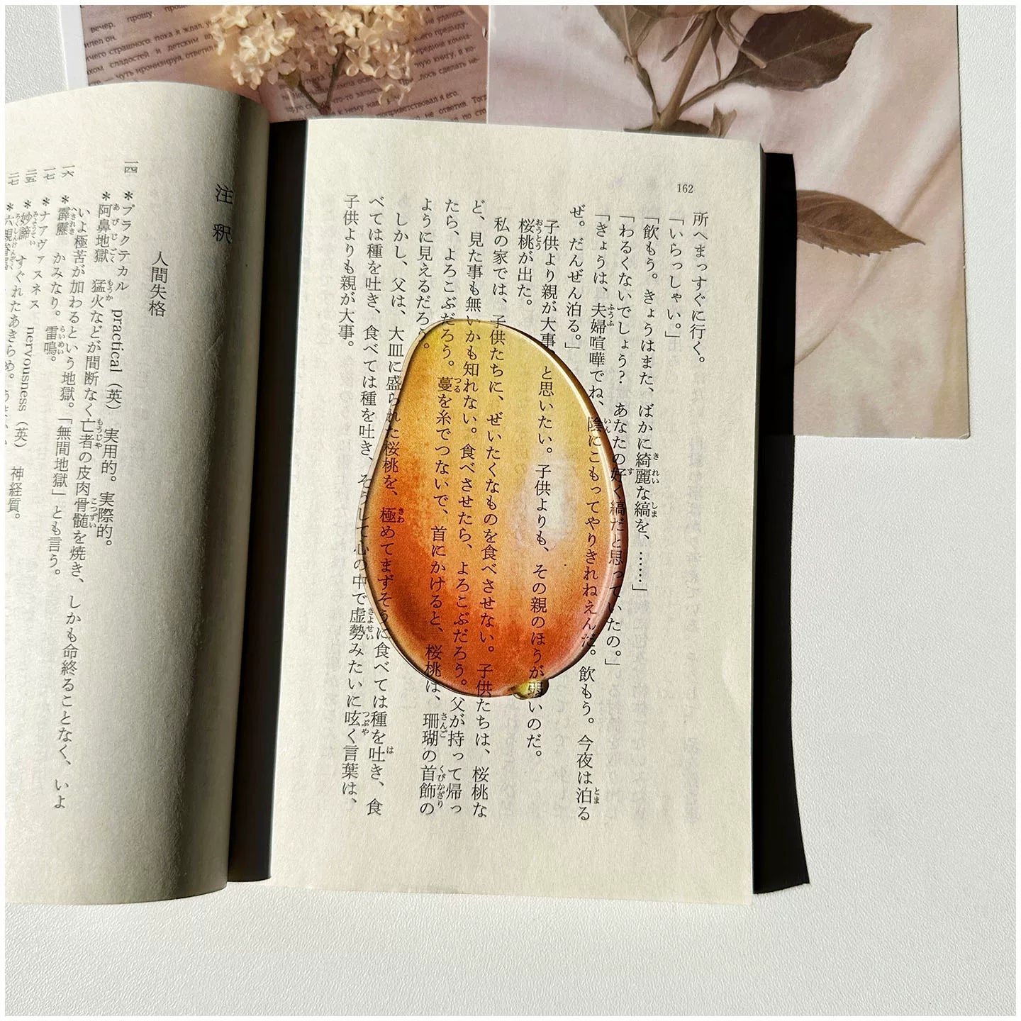 Acrylic Fruit Illustration Bookmark - Modomu