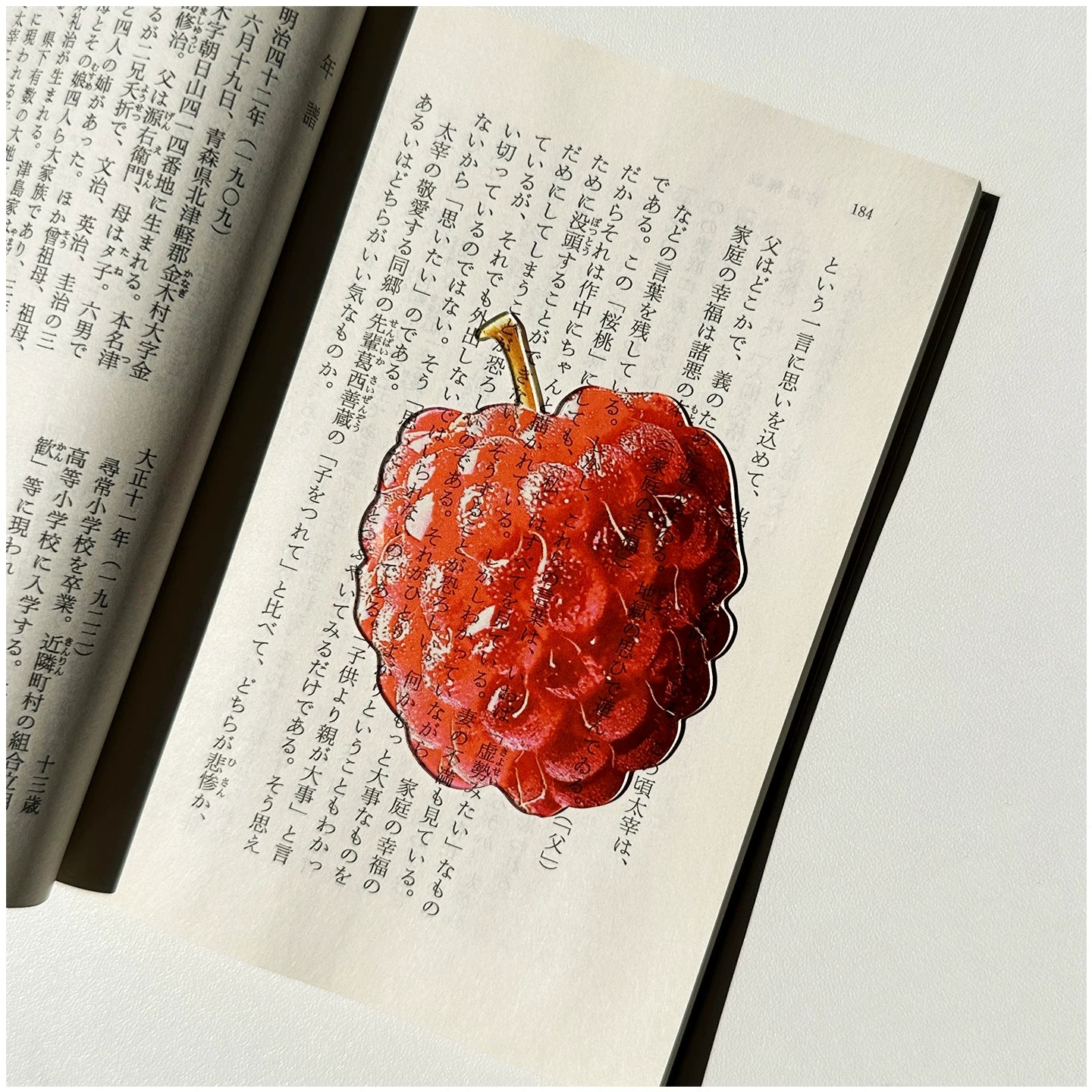 Acrylic Fruit Illustration Bookmark - Modomu