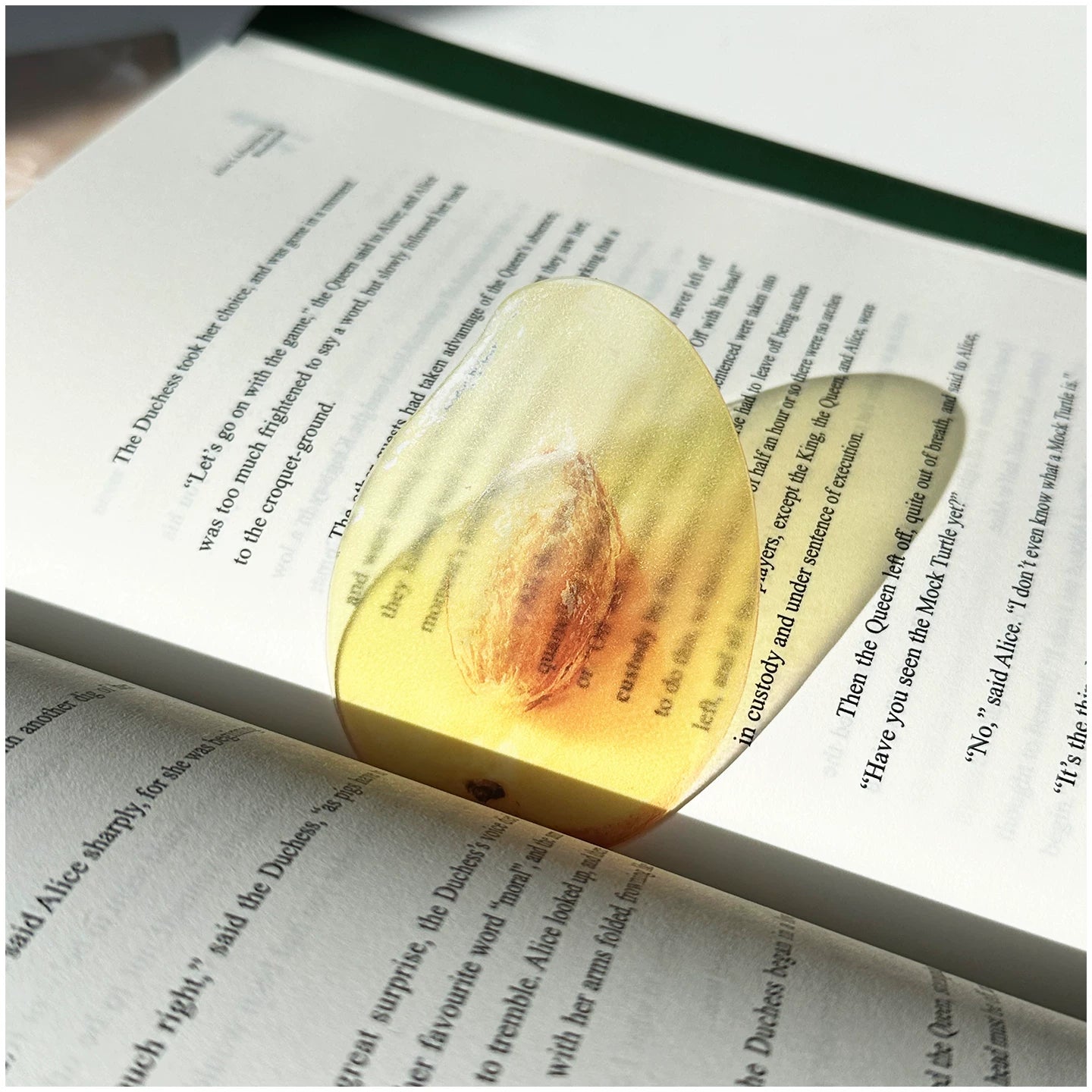 Acrylic Fruit Illustration Bookmark - Modomu