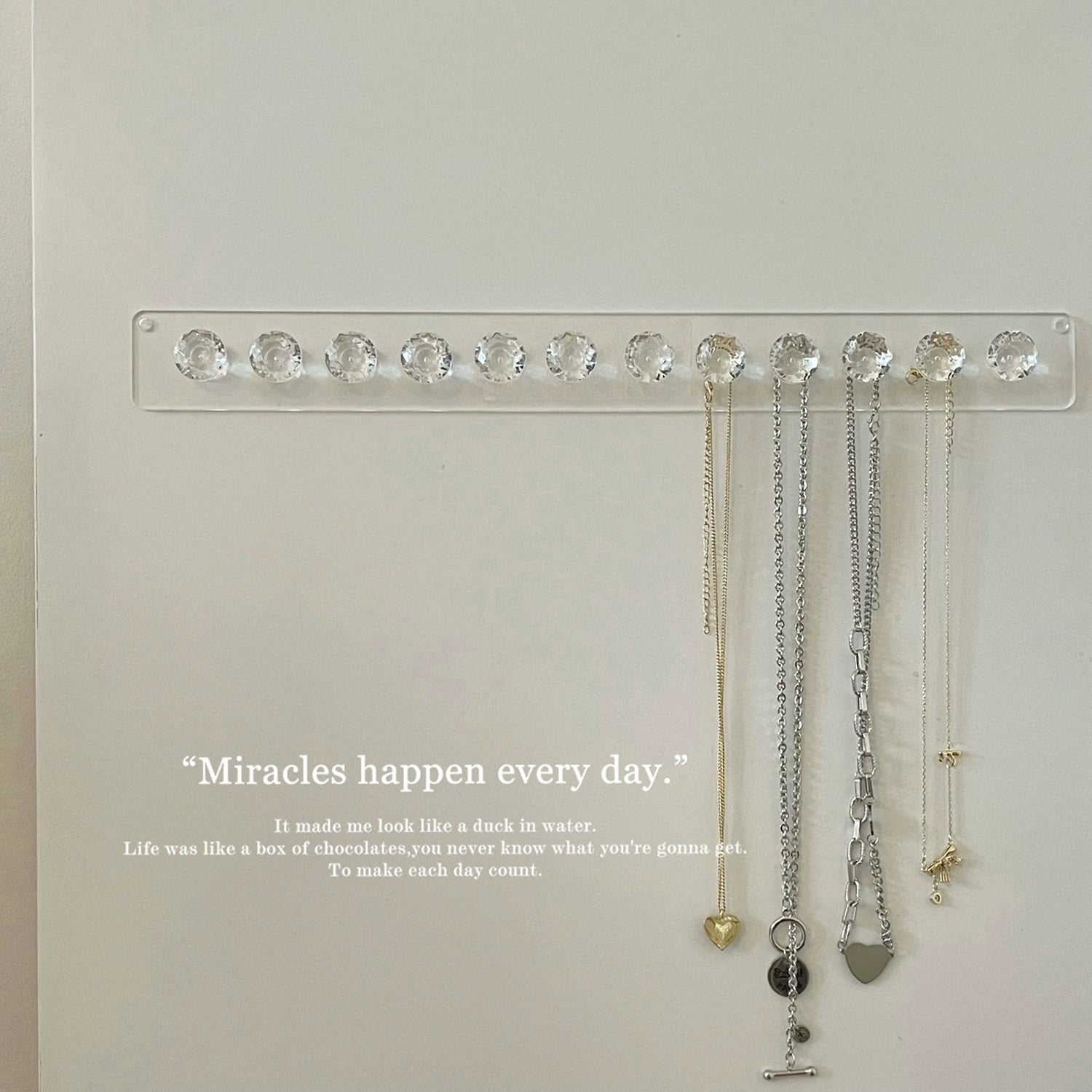Acrylic 12 Hook Jewelry Storage