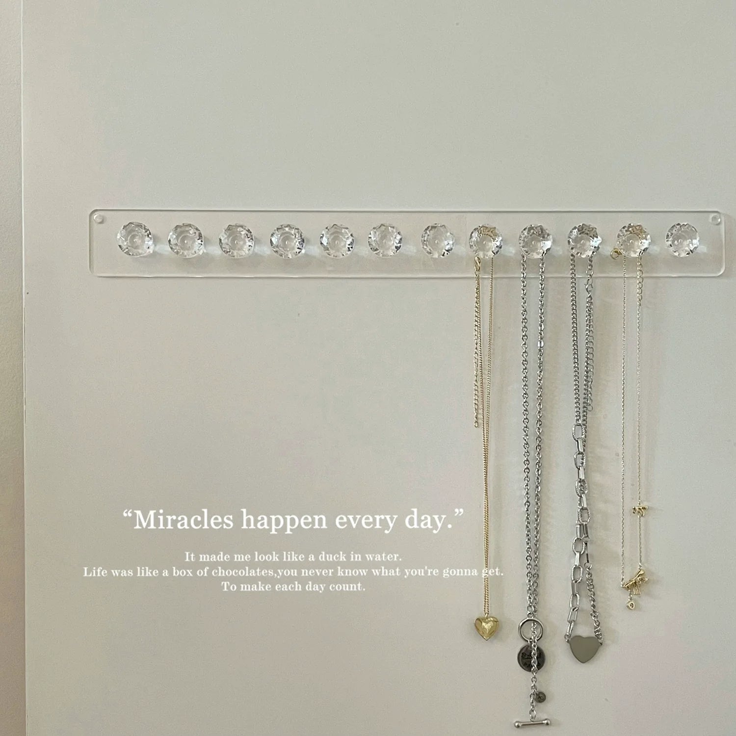 Acrylic Jewelry Organizer with Hooks - Modomu