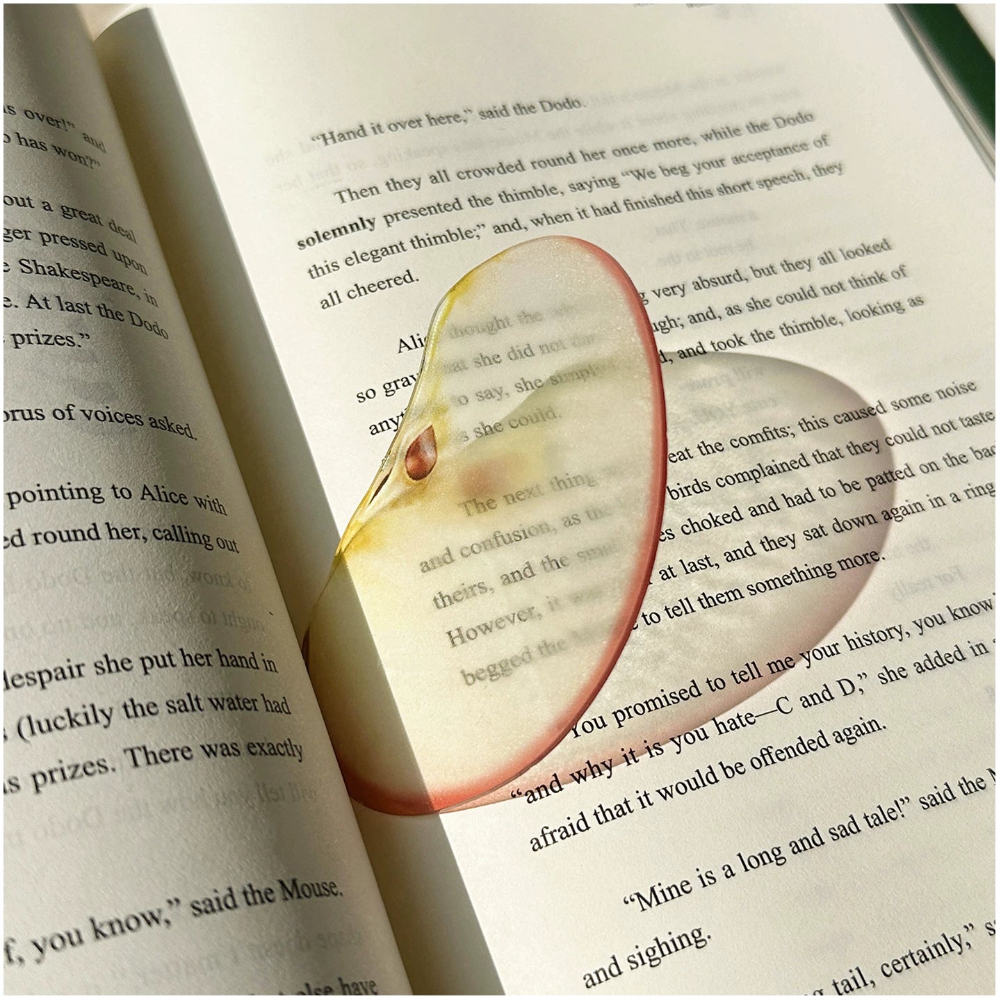 Acrylic Fruit Illustration Bookmark