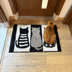 Cute Cat Doormat for Entryways - Modomu