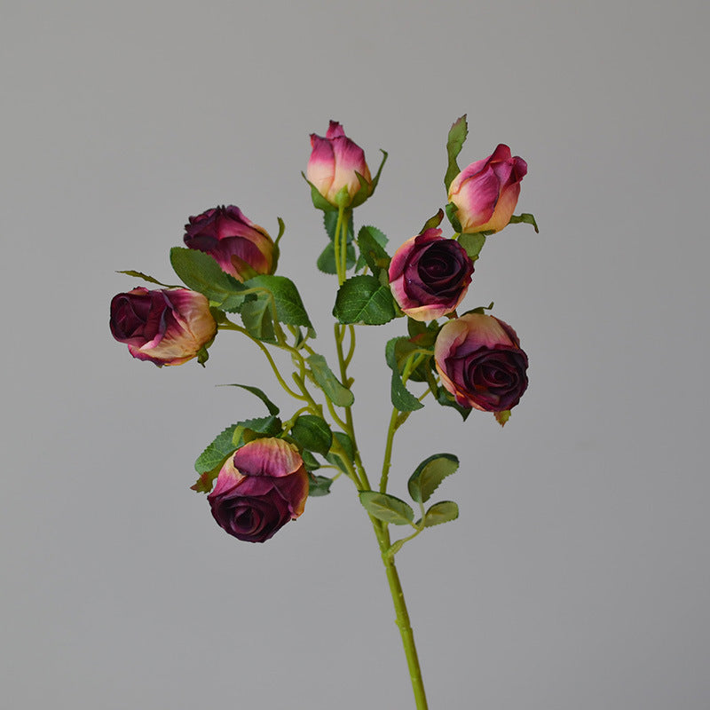 Retro Roasted Edge Silk Roses - Modomu