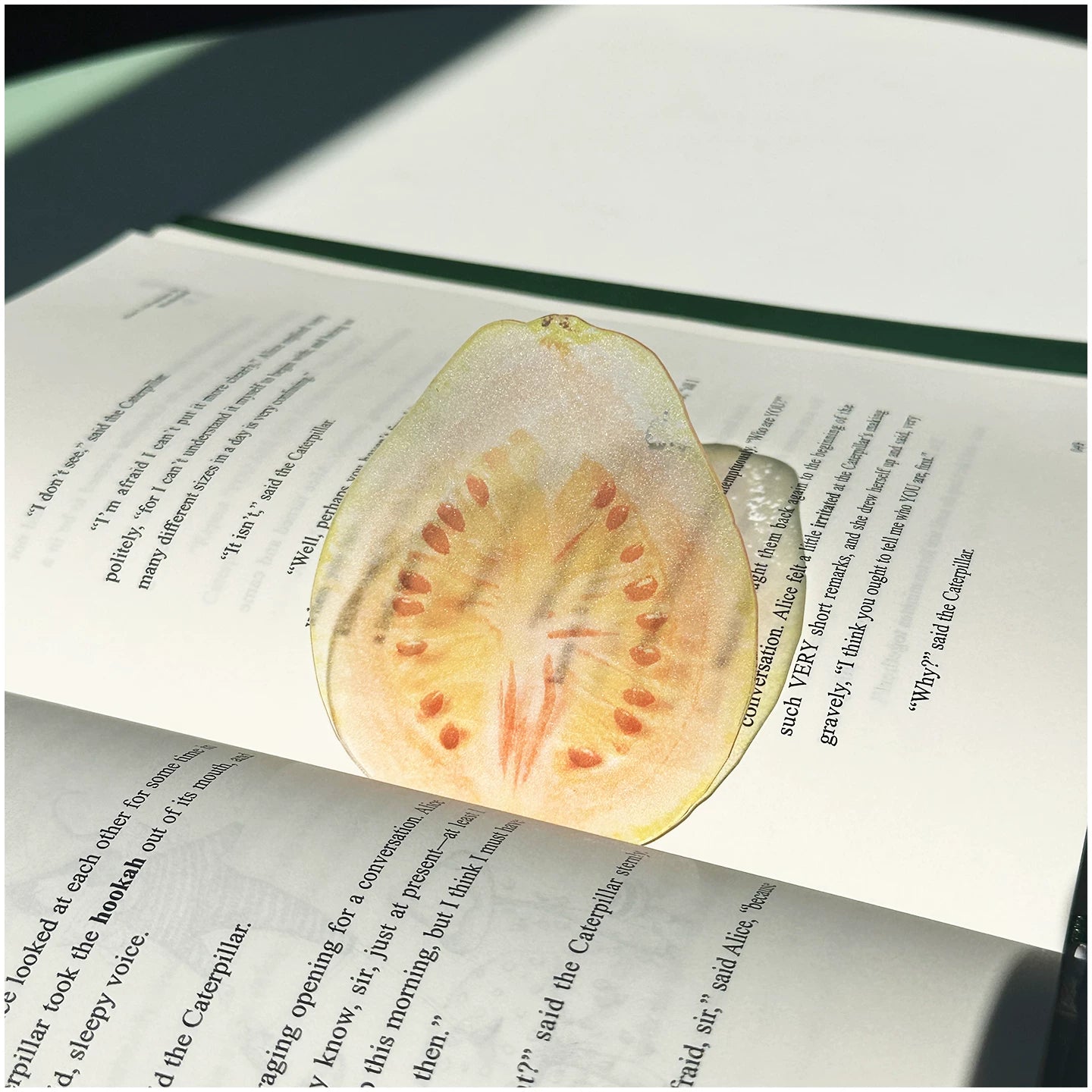 Acrylic Fruit Illustration Bookmark - Modomu