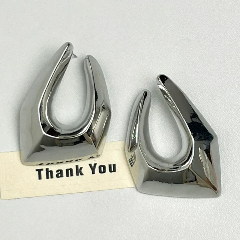 Irregular Metal Line Earrings