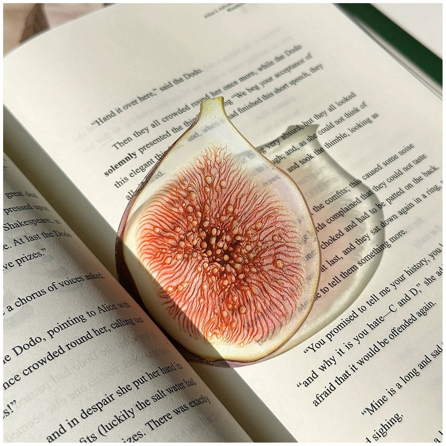 Acrylic Fruit Illustration Bookmark - Modomu