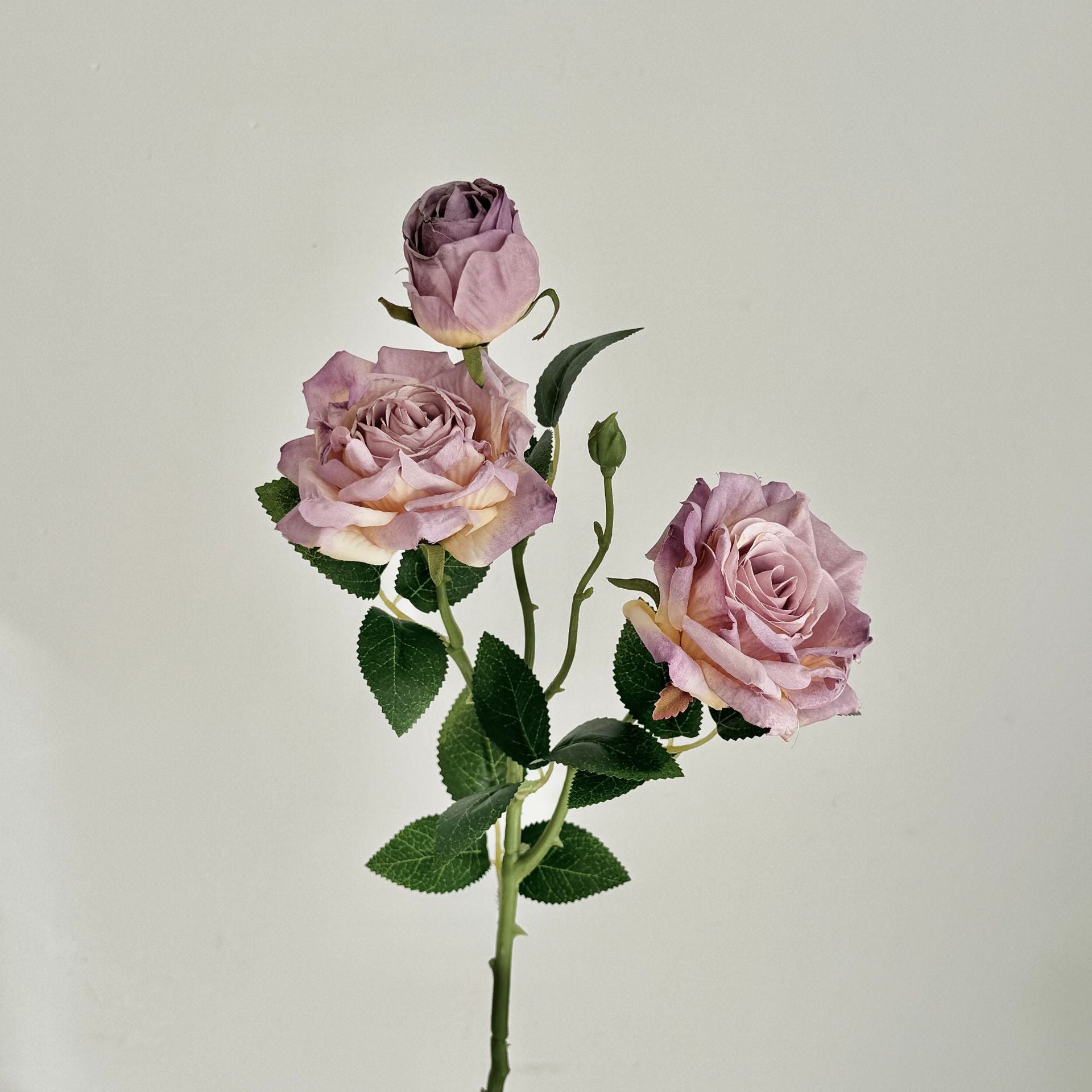 Retro Burnt Edge Rose Bouquet - Modomu