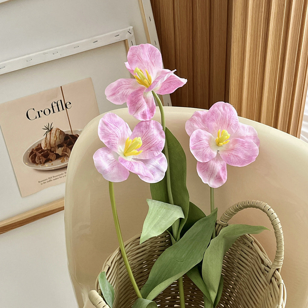Silk Tulip Artificial Arrangement - Modomu