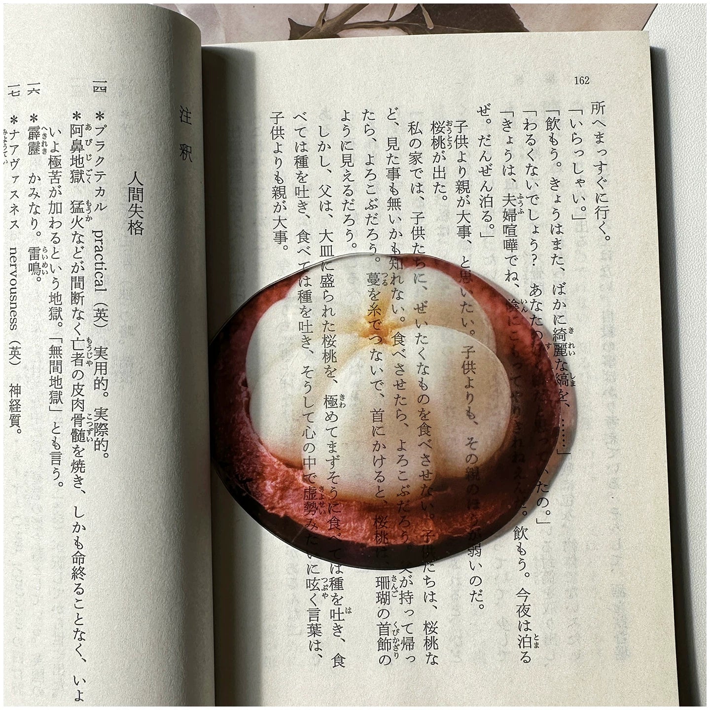 Acrylic Fruit Illustration Bookmark - Modomu