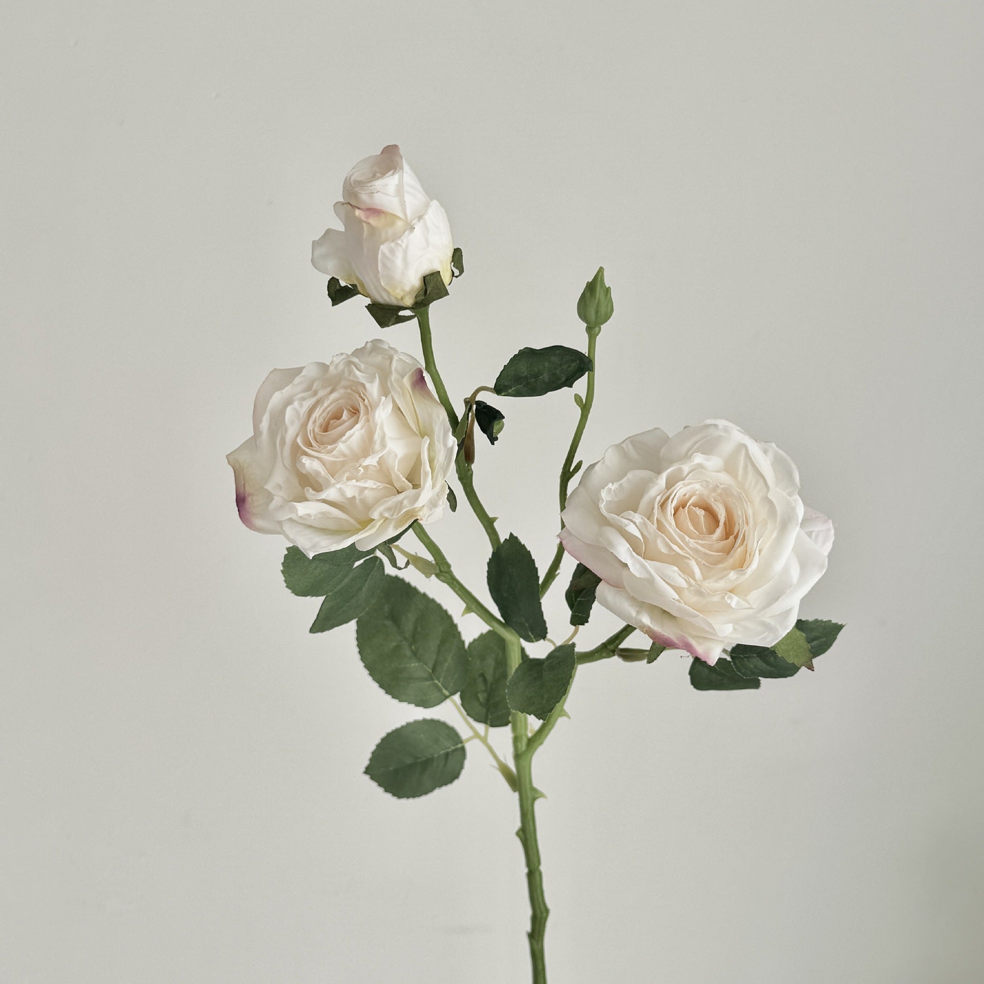 Retro Burnt Edge Rose Bouquet - Modomu