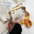 Clear Box Crossbody Bag