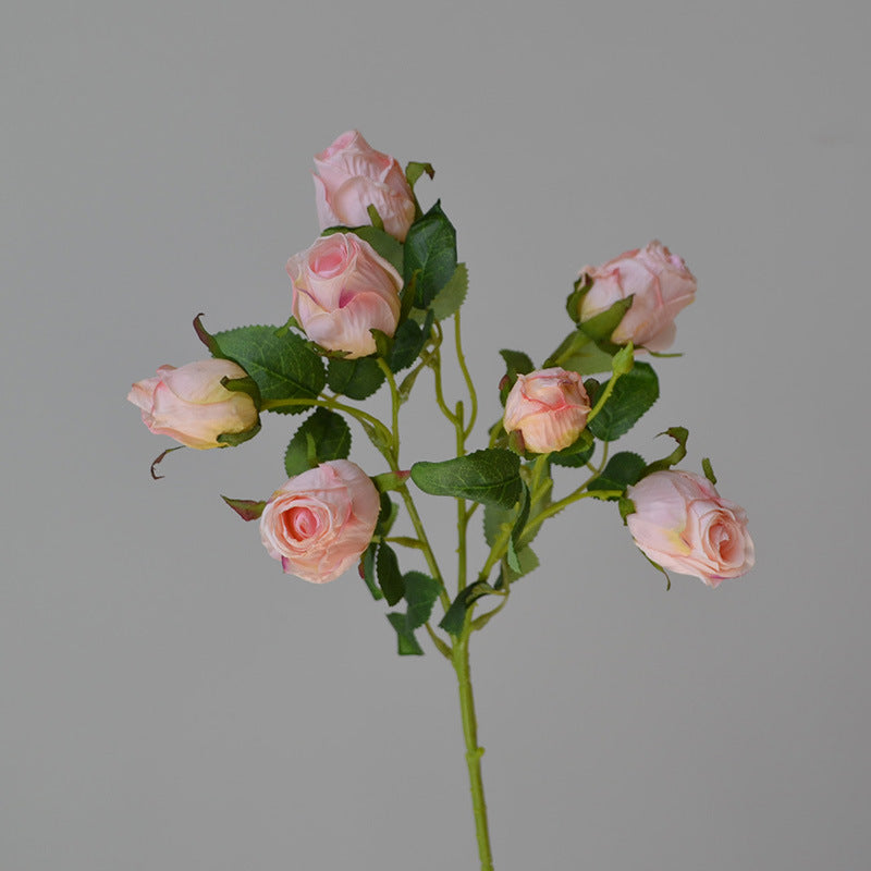 Retro Roasted Edge Silk Roses - Modomu
