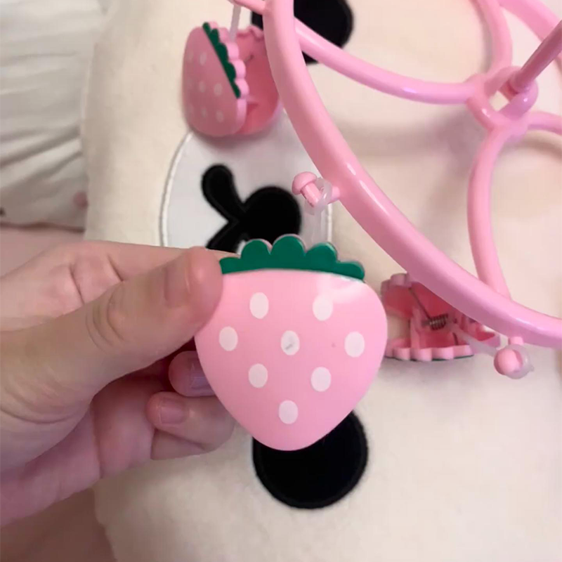 Strawberry Sock Clips Organizer