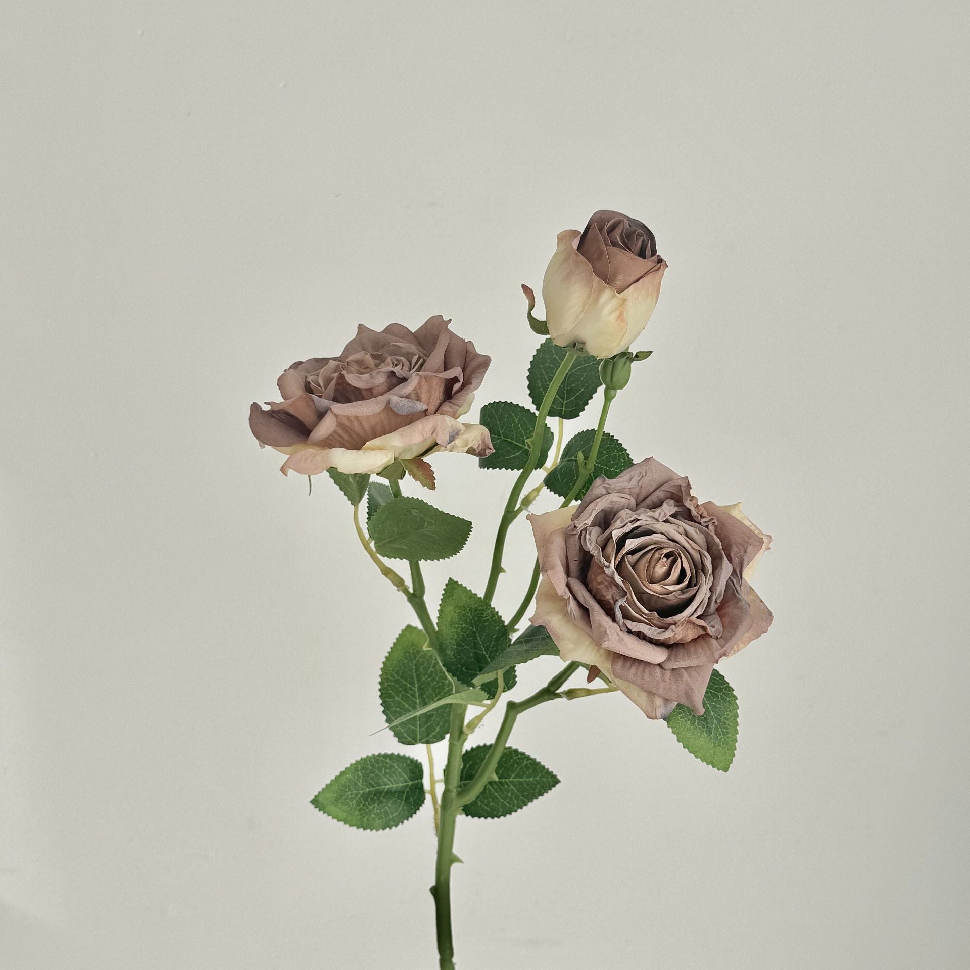 Retro Burnt Edge Rose Bouquet - Modomu