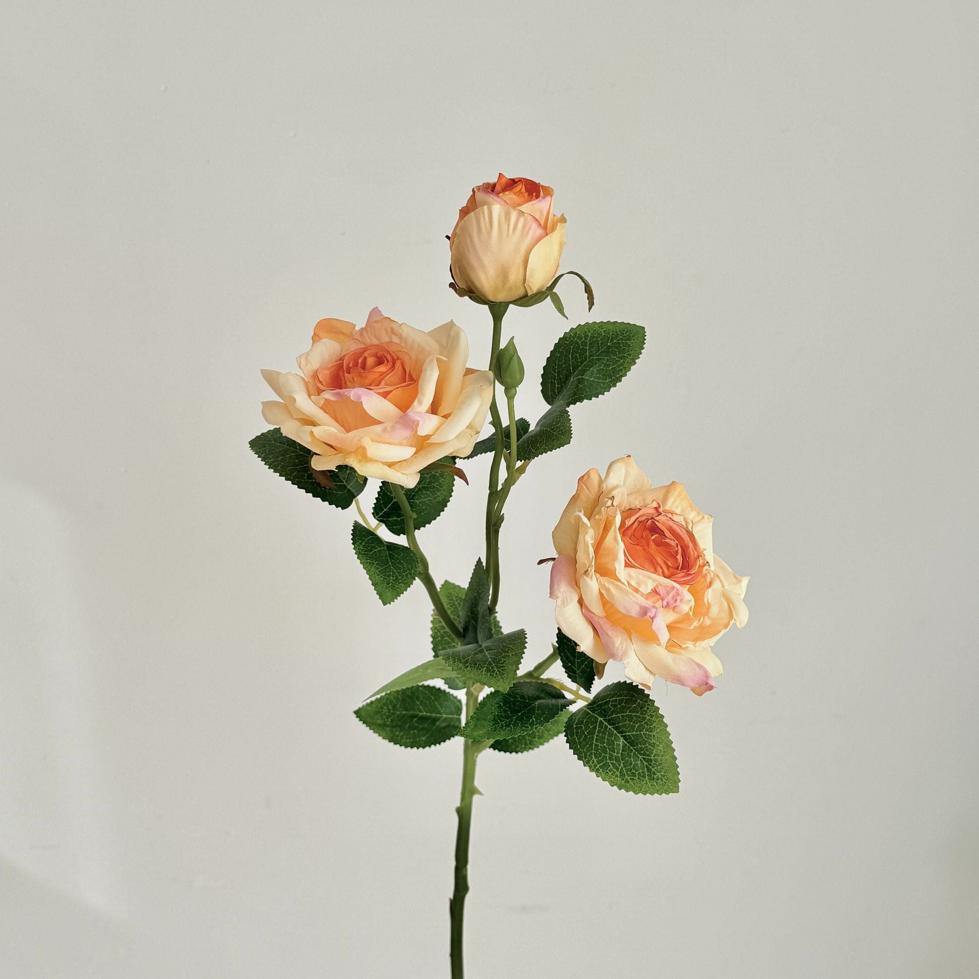 Retro Burnt Edge Rose Bouquet - Modomu