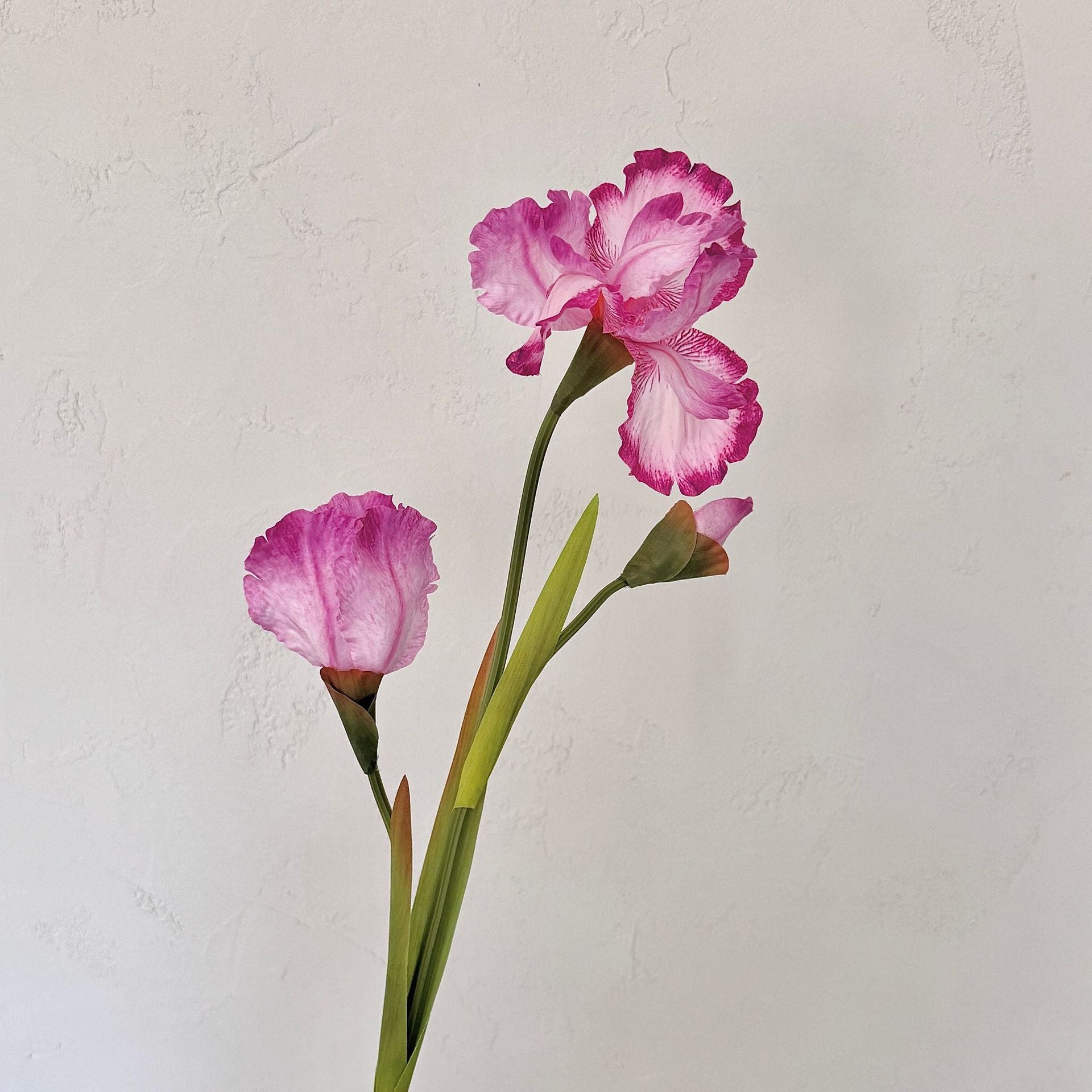 Artificial Iris Flower Stem Arrangement - Modomu