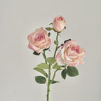 Retro Burnt Edge Rose Bouquet - Modomu