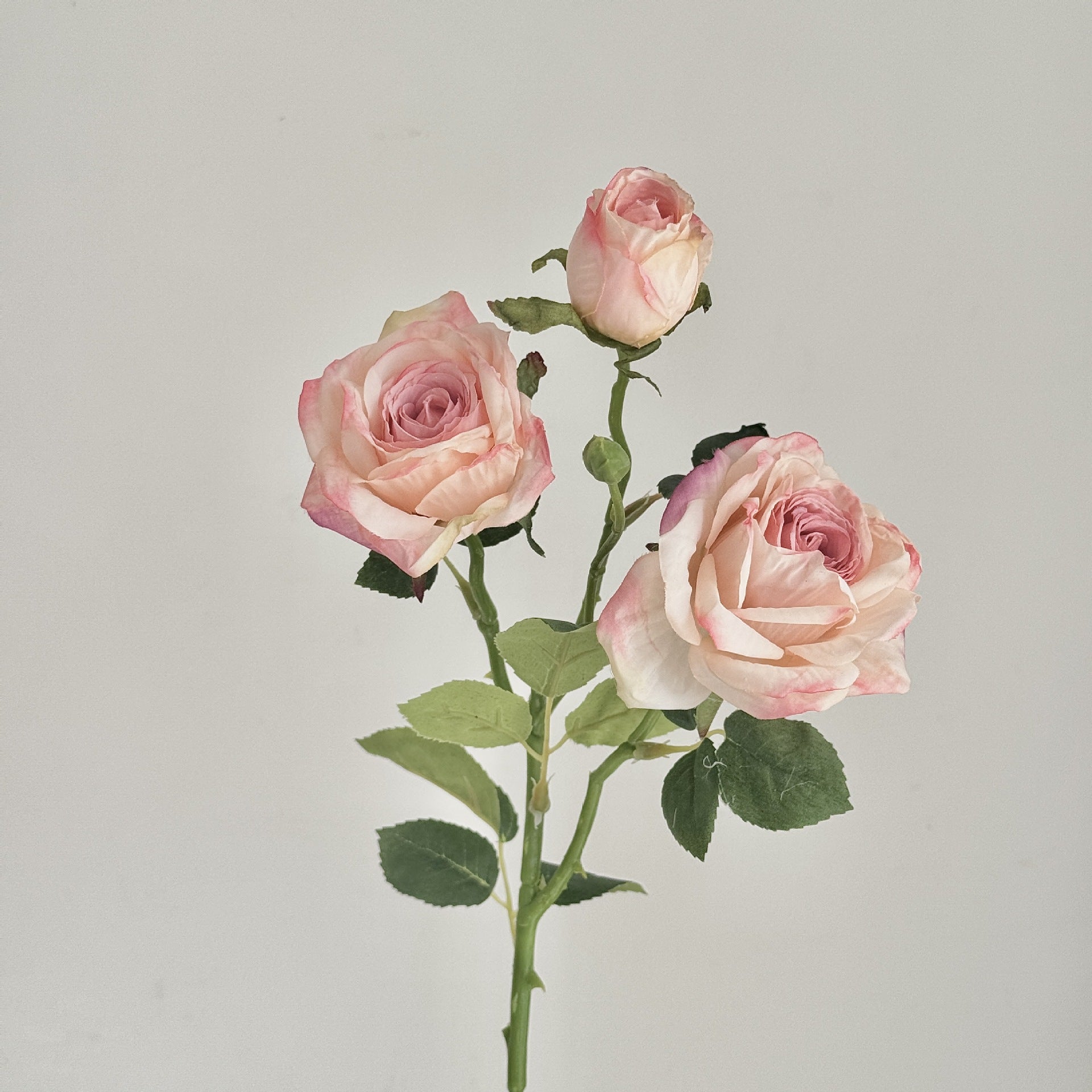 Retro Burnt Edge Rose Bouquet - Modomu