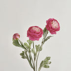 Faux Lotus Peony Stems - Modomu