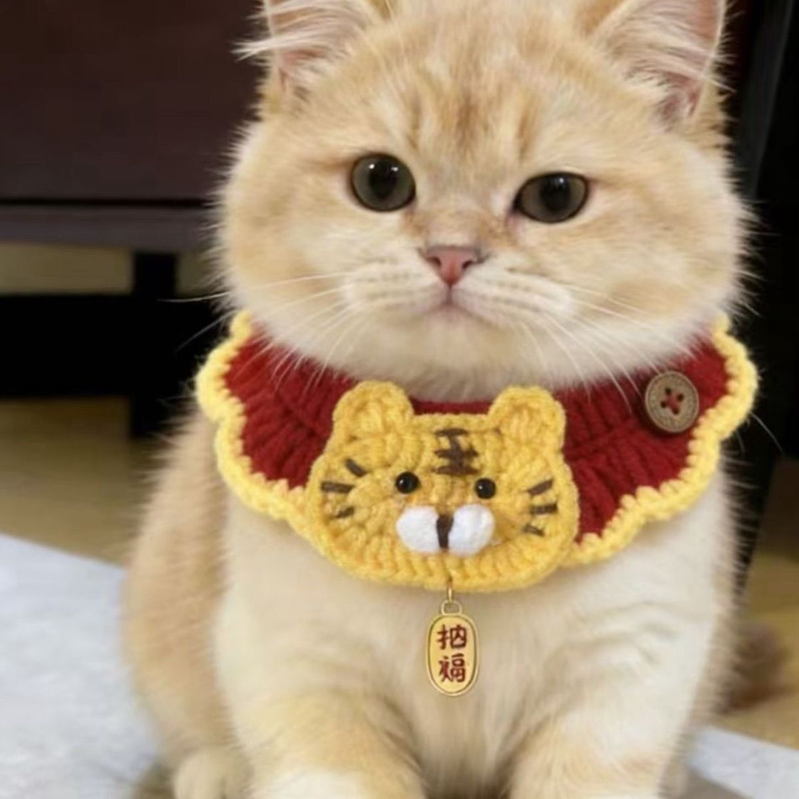 Festive Pet Tiger Head Scarf