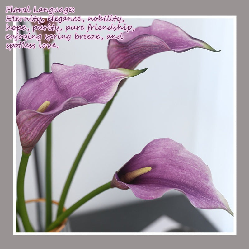 Long Stem Calla Lily Spray - Modomu