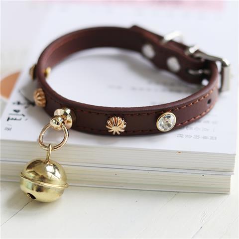 Minimalist Lifestyle Accessory Piece