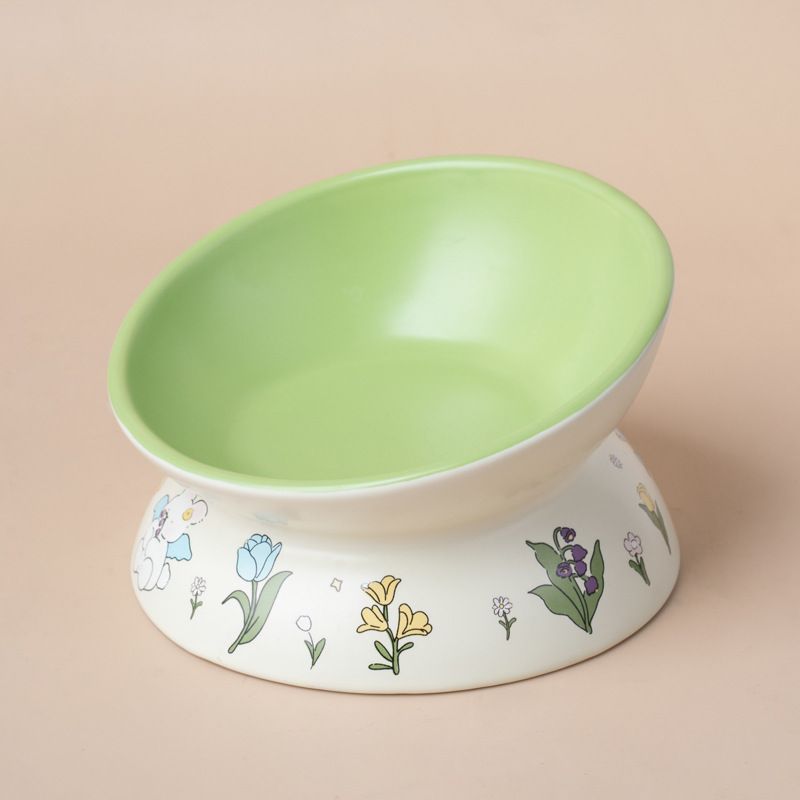 Raised Pet Food and Water Bowl