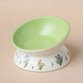 Raised Pet Food and Water Bowl