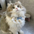 Lace Ruffle Pet Collar