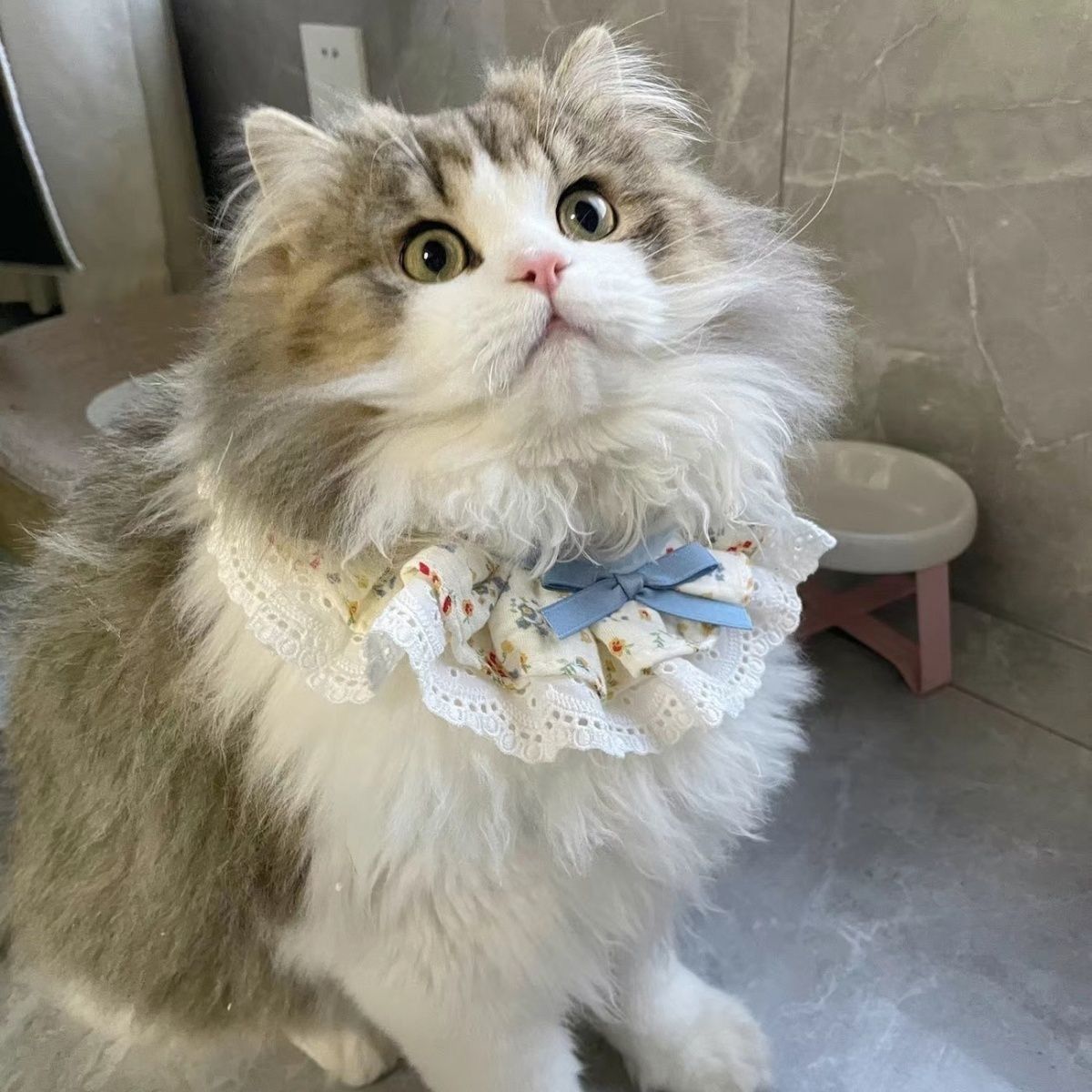 Pet Bib with Floral Bow