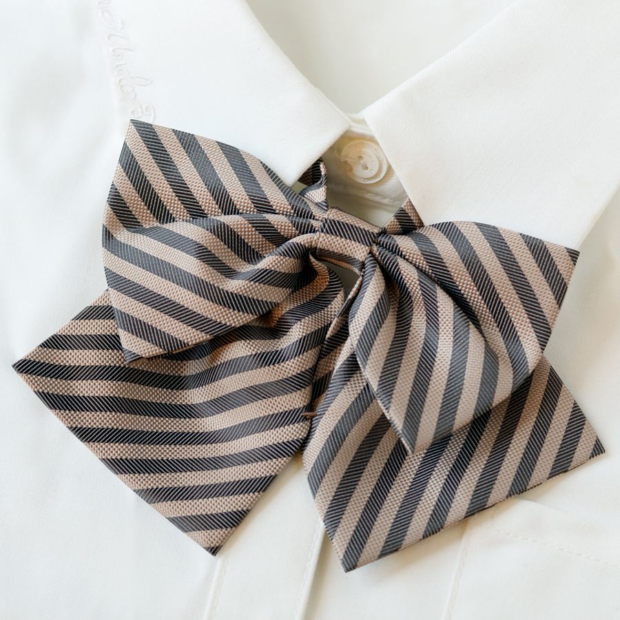 College Style Bow Tie - Modomu