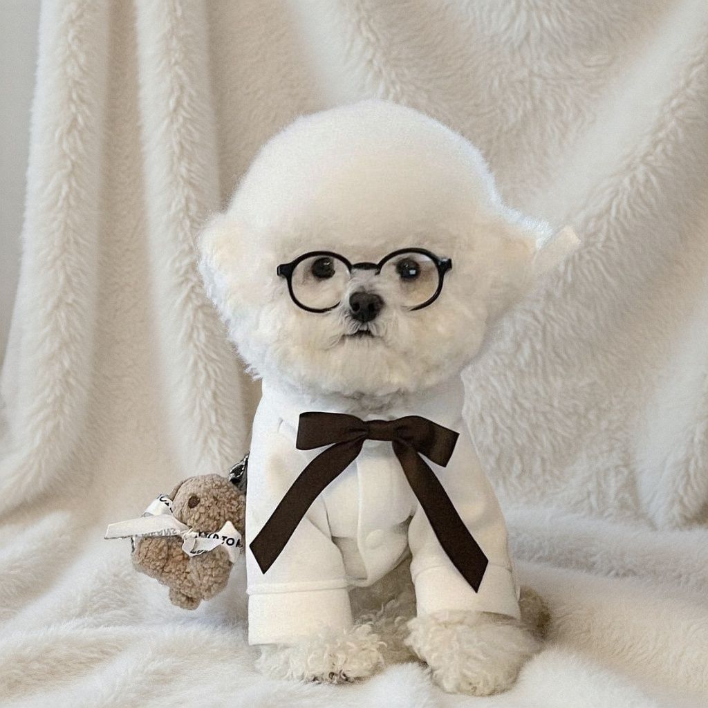 Pet Glasses Fun Photo Accessory