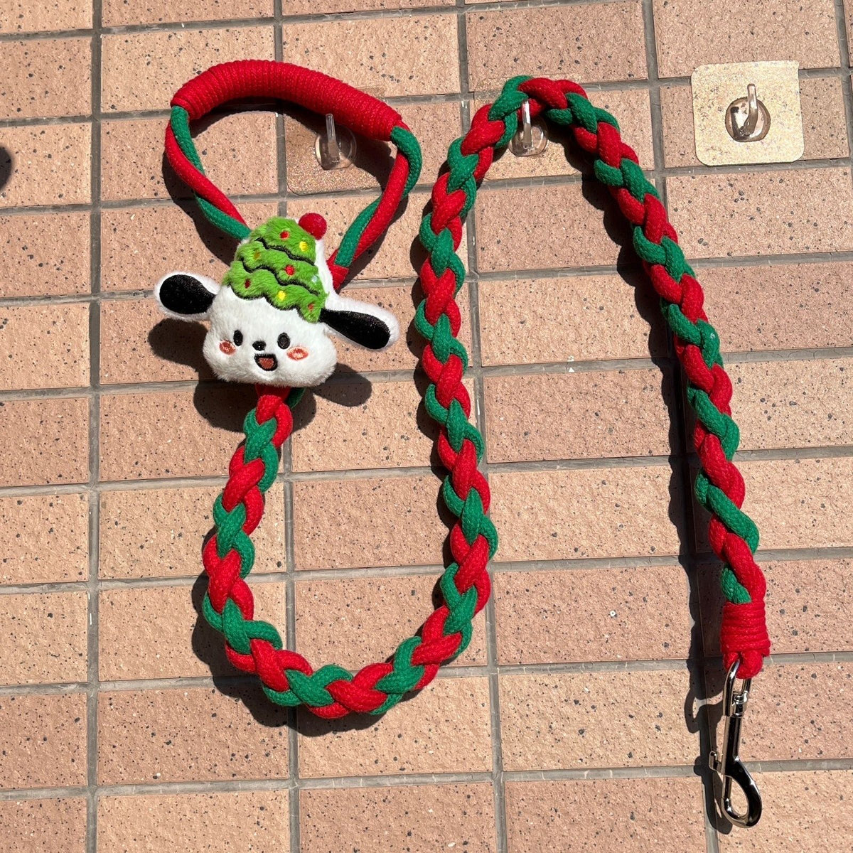 Braided Charm Dog Leash