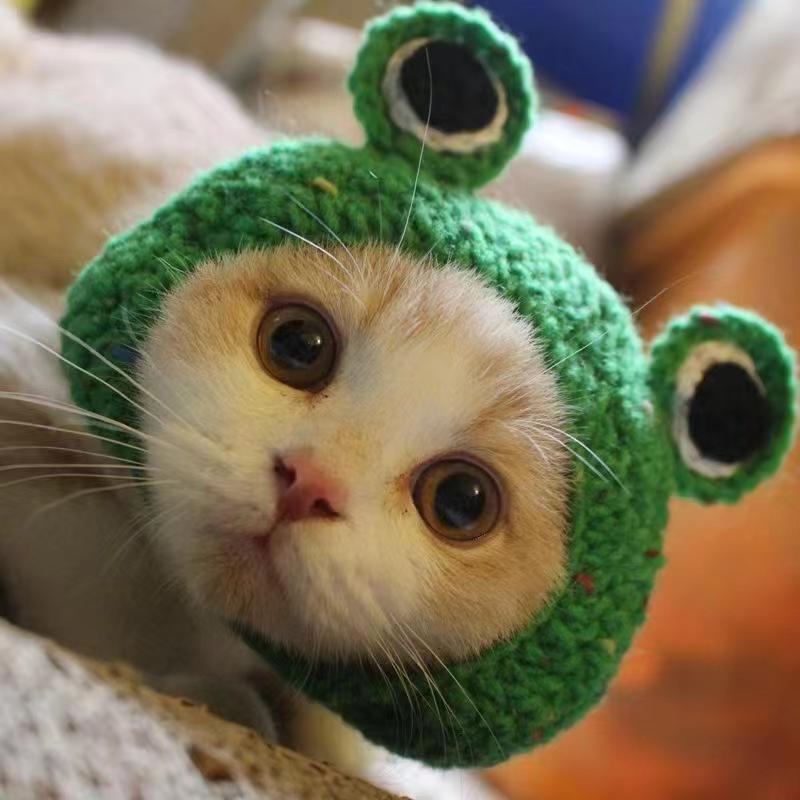 Knit Pet Hat Frog Design