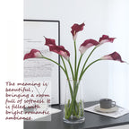 Long Stem Calla Lily Spray - Modomu