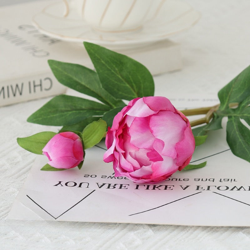 Single Stem Peony Artificial - Modomu