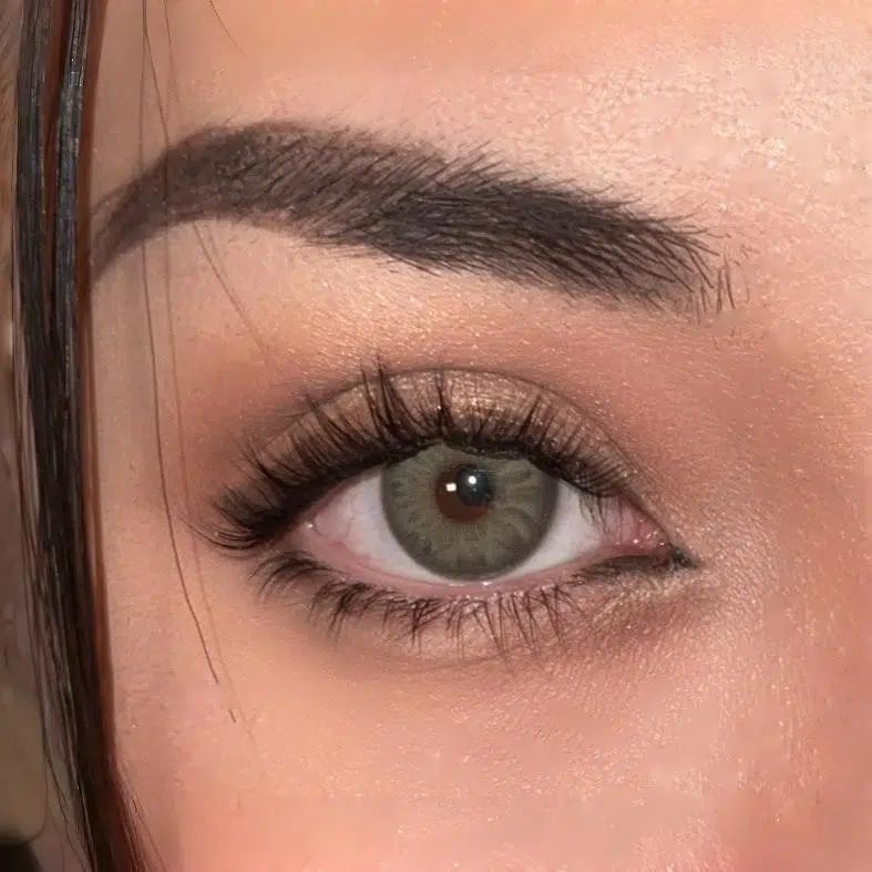 Wild Rose Segmented Lower Eyelashes