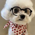 Small Dog Fashion Glasses
