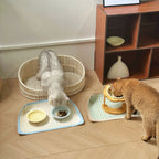 Pet Feeding Splash-Proof Placemat