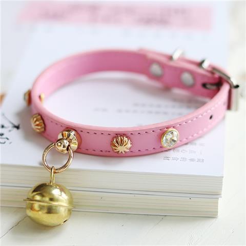 Minimalist Lifestyle Accessory Piece