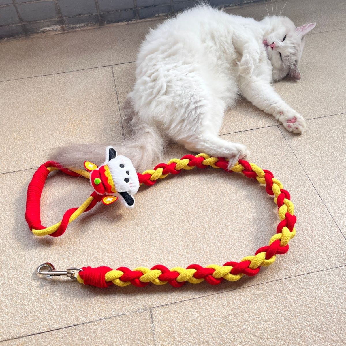 Braided Charm Dog Leash