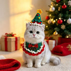 Christmas Tree Pet Hat Set