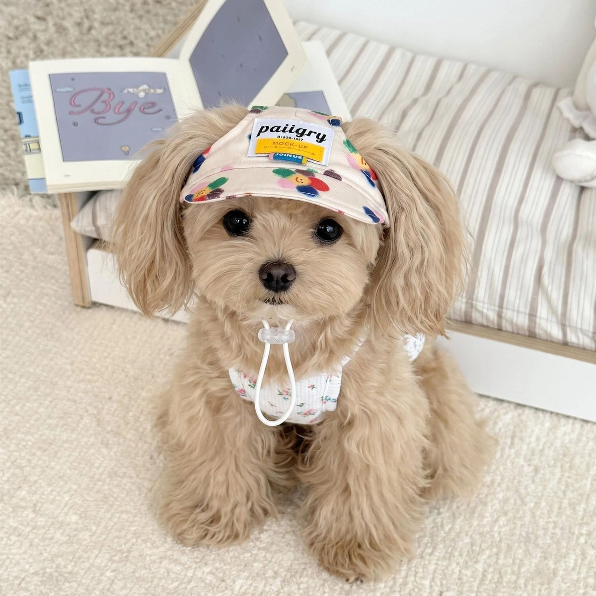 Ear Hole Pet Baseball Cap