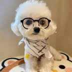 Small Dog Fashion Glasses
